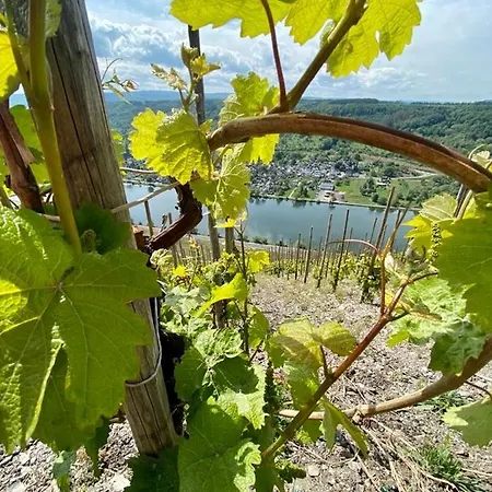 Апартаменты Mosel Бернкастель-Кюс