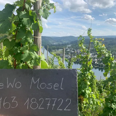 Апартаменты Mosel *