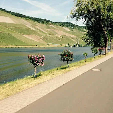 Mosel Appartement Verbandsgemeinde Bernkastel-Kues