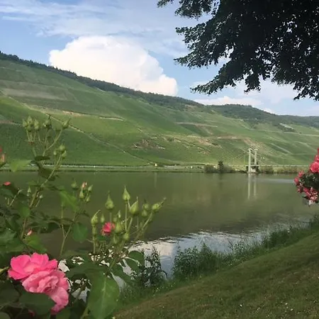 Mosel