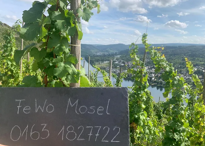 Апартаменты Mosel *