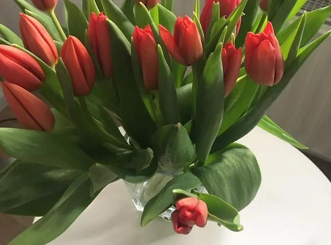 Апартаменты Mosel