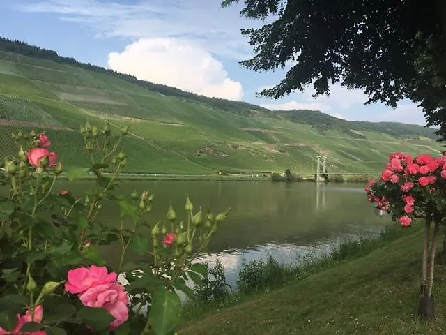 Mosel